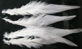 Hackle 6-8po selle de coq