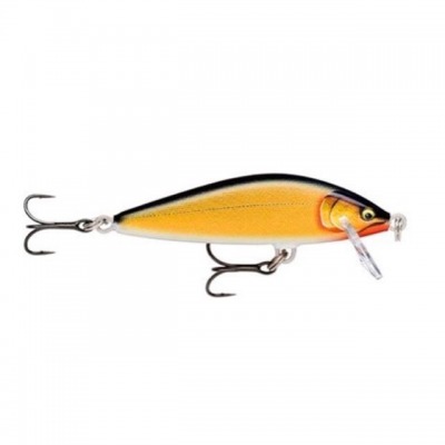 Poisson Nageur