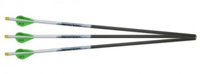 Flèches PROFLIGHT 16.5'' avec LUMENOK