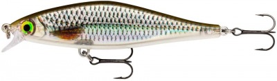 Poisson Nageur