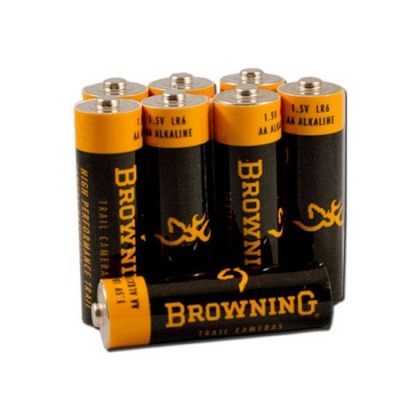 Batterie alcalines AA