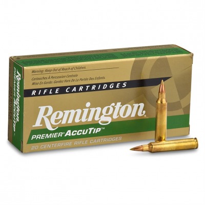 Munition calibre 300 win mag