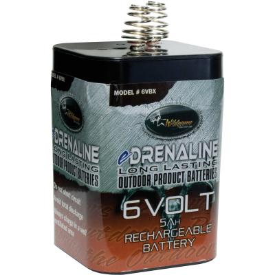 Batterie rechargeable 6V