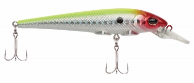 Poisson nageur 