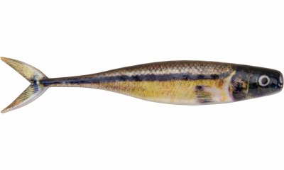 Leurre souple THE CHAMP MINNOW