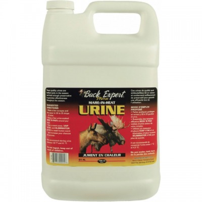 Urine de jument 