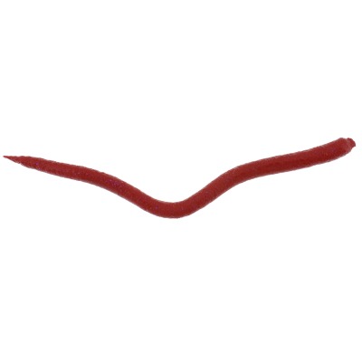 Gulp extruded worm
