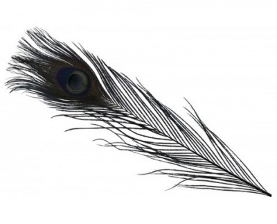 Yeux de paons