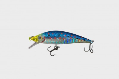 Poisson nageur MR.PUNCH