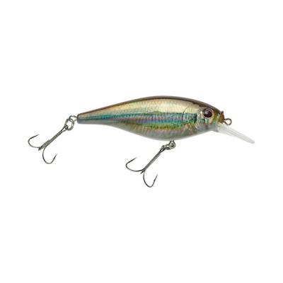 Flicker Shad 7 Shallow 