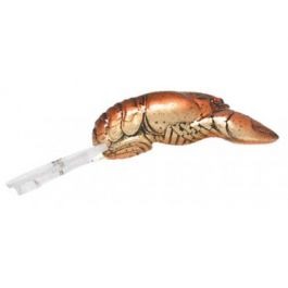 Poisson nageur écrevisse