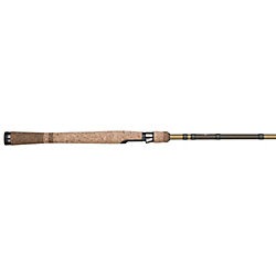 Fenwick Eagle 5,6'