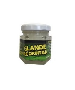 Glande pré-orbitale de chevreuil
