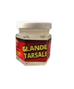 Glande tarsale de chevreuil