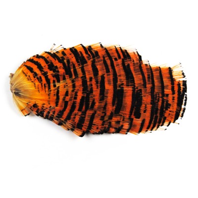 Tippet de faisan doré