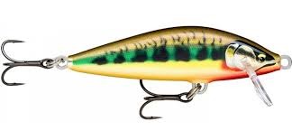 Poisson Nageur