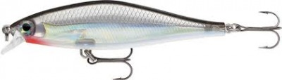 Poisson Nageur