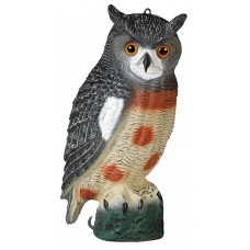 Appelant hibou