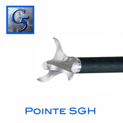 Pointe de chasse 