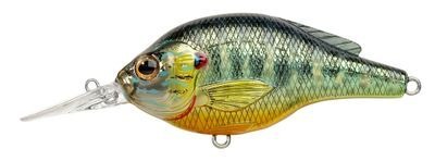 Live target crapet-soleil