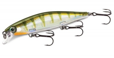 Poisson nageur SHADOW RAP