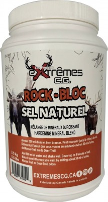 Mélange de minéraux durcissant ROCK-BLOC