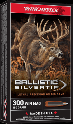 Munition BALLISTIC SILVERTIP