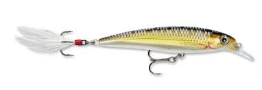 Poisson nageur X-RAP