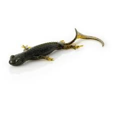Leurre souple 3D lizard