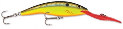 Poisson Nageur