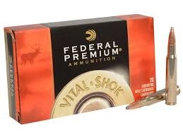 Munition Nosler Partition 