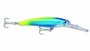 Poisson Nageur 