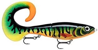 Poisson Nageur