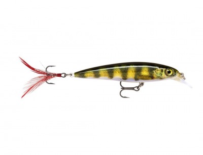 Poisson nageur X-RAP