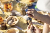 Couteau picnic +