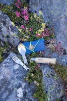 Couteau picnic +