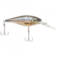 HD fathead minnow