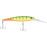 Firetail MF hot firetiger