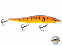 ORANGE TIGER