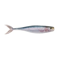 Emerald shiner