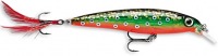 Brook Trout
