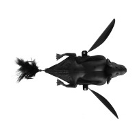 Noir