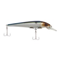 Blue smelt