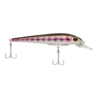 Rainbow trout
