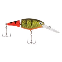 FIRETAIL HOT PERCH