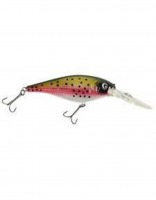 Rainbow Trout