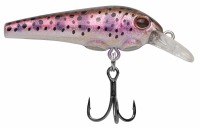 Rainbow trout