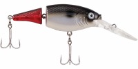 Firetail red tail