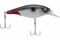 Firetail red tail
