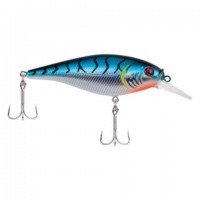 Blue Tiger